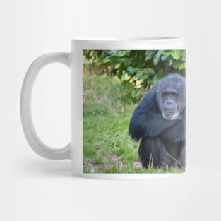 Chimpanzee Mug